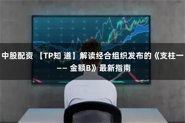 中股配资 【TP知 道】解读经合组织发布的《支柱一 —— 金额B》最新指南