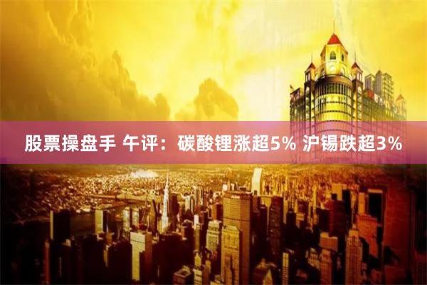 股票操盘手 午评：碳酸锂涨超5% 沪锡跌超3%