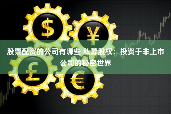 股票配资的公司有哪些 私募股权：投资于非上市公司的秘密世界